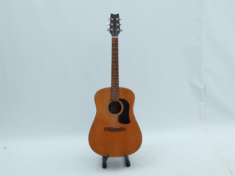 Washburn D10 Acoustic Guitar Dreadnaught