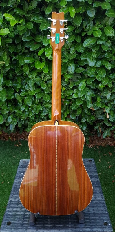 Vintage 1989 Washburn D-13N Acoustic Guitar-Solid Spruce / Ovangkol see VIDEO