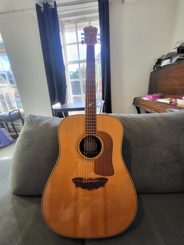 Washburn D33s