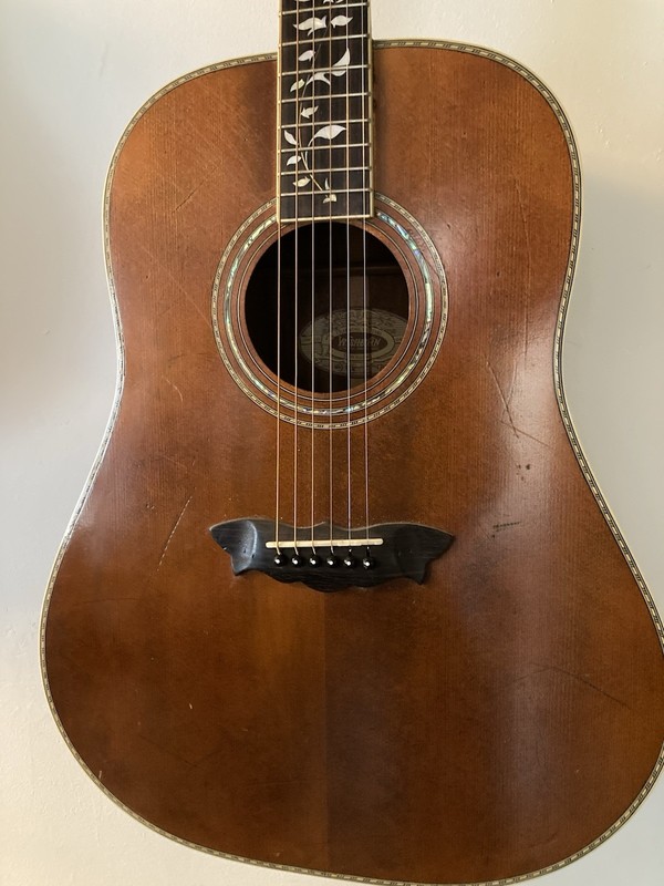 Washburn WSJ-125K ‘Tree of life’ Acoustic Guitar-Limited Edition #174/250