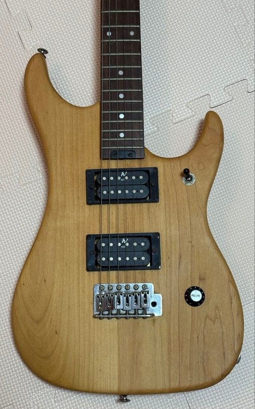 Washburn Nuno Bettencourt Signature guitar USED