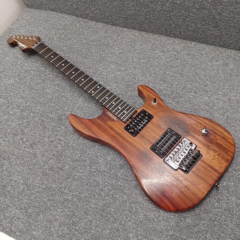 Washburn N4 Epnm Signature Electric Guitar