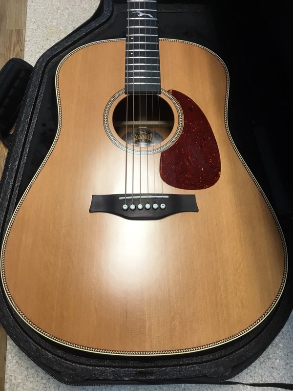 Seagull Godin Artist Mosaic Element Acoustic Guitar-Excellent Rarely Used