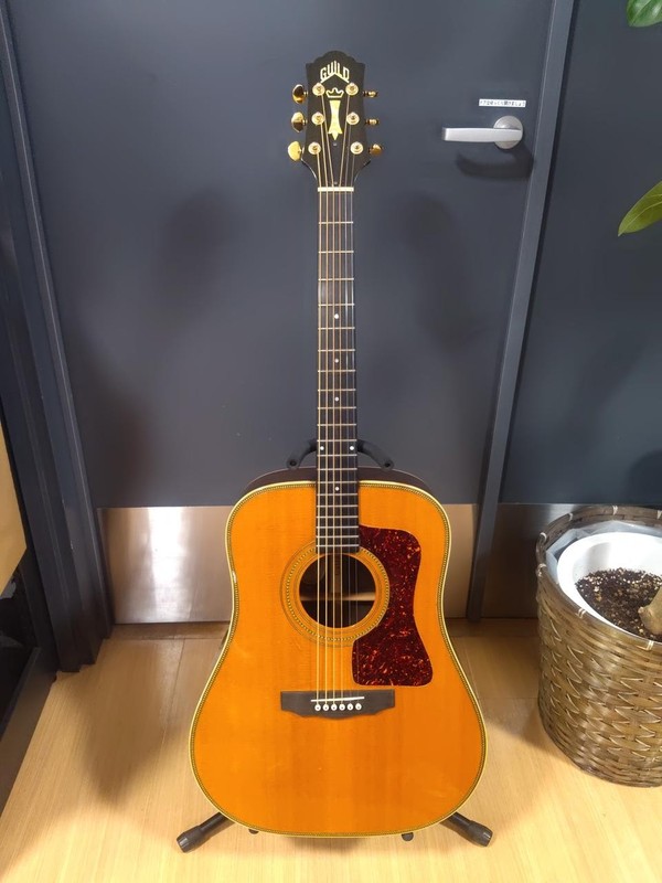 GUILD D62-NT HG Acoustic Guitar