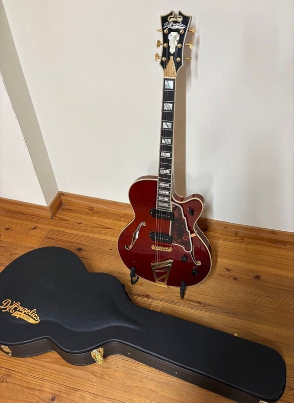 DAngelico Excel 59 Viola Electric Guitar Full Acoustic