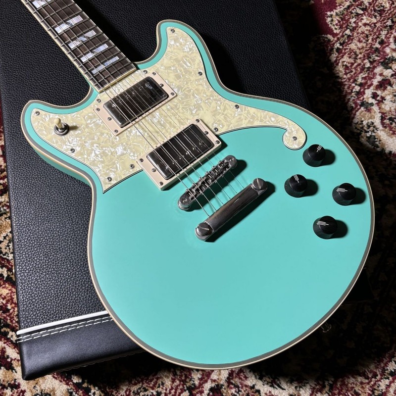 D’Angelico Deluxe Brighton Ltd (no260818)