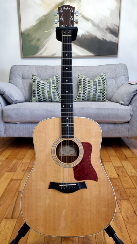 Taylor 210 Acoustic Guitar