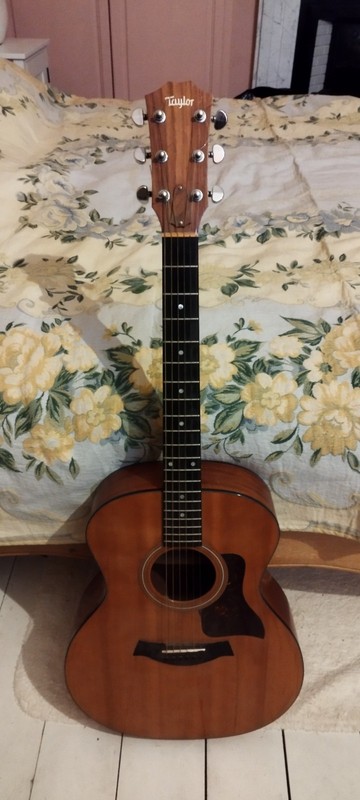 Taylor 314