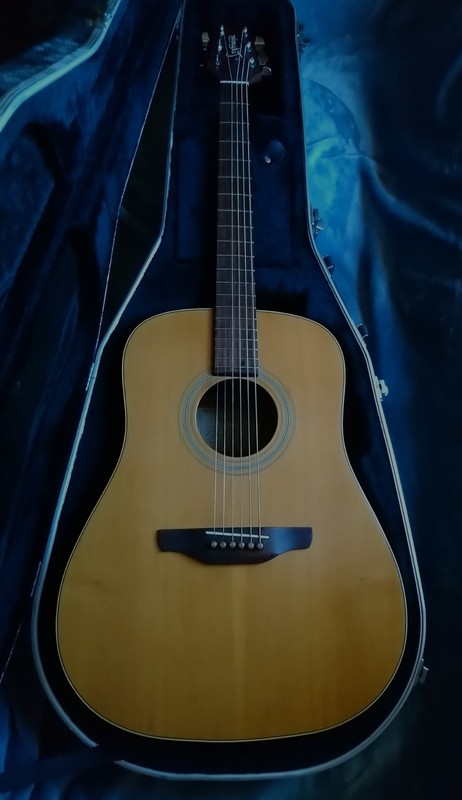 Takamine EGS 330 s solid wood acoustic guitar