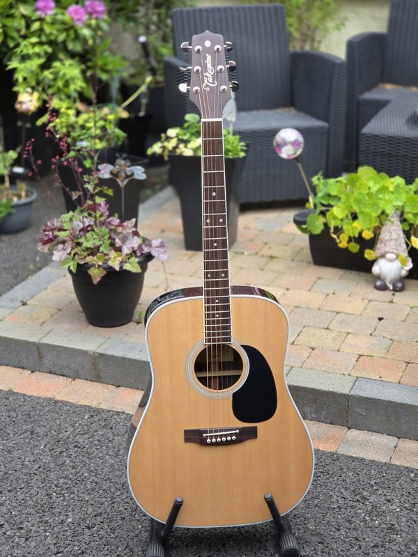 Glenn Frey Signature Takamine EF 360 GF Collectable