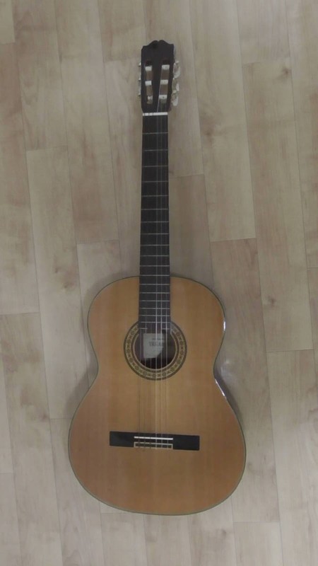 Takamine No.30 Vintage Acoustic Guitar Natural Made in Japan