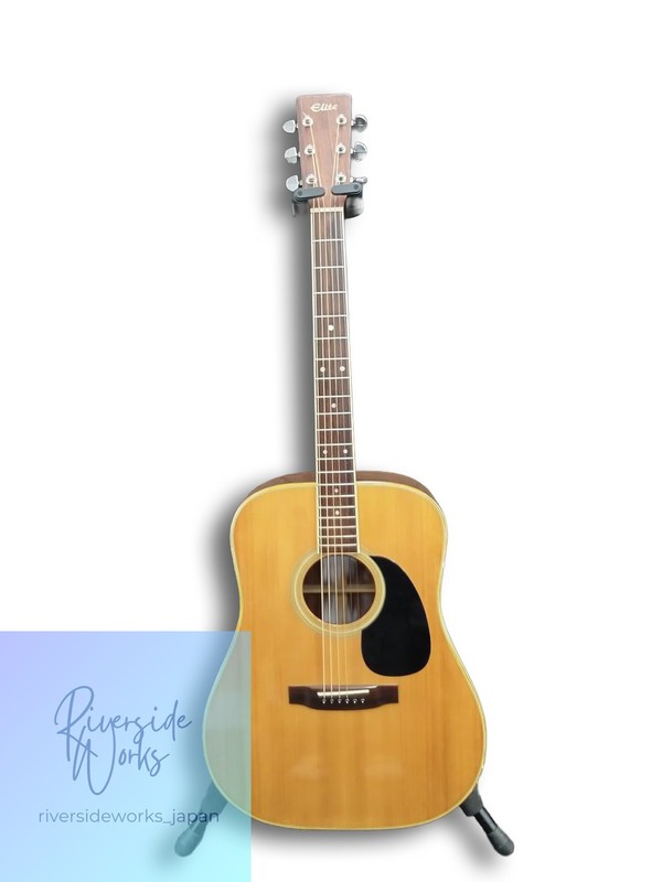 TAKAMINE Acoustic Guitar ELITE TW-40