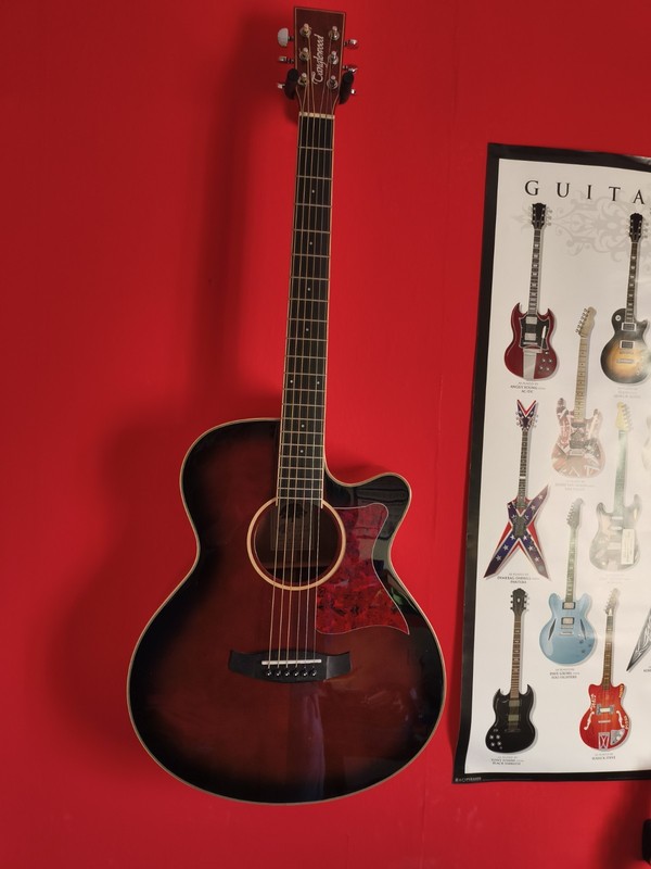 Tanglewood Winter leaf Tw4e Wb