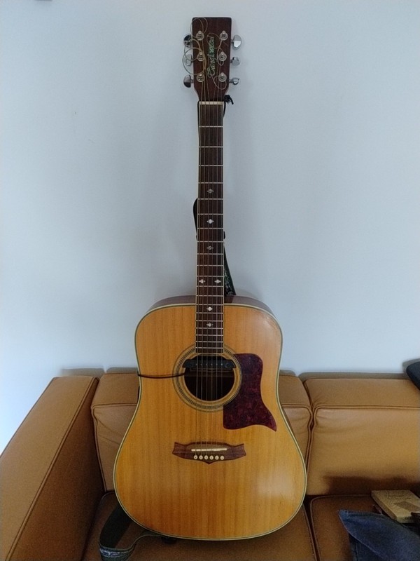 Tanglewood Tw15ns Acoustic Guitar With Pickup