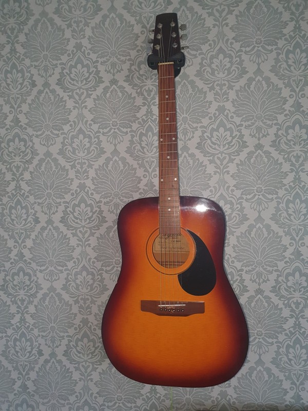 Tanglewood Tw-300