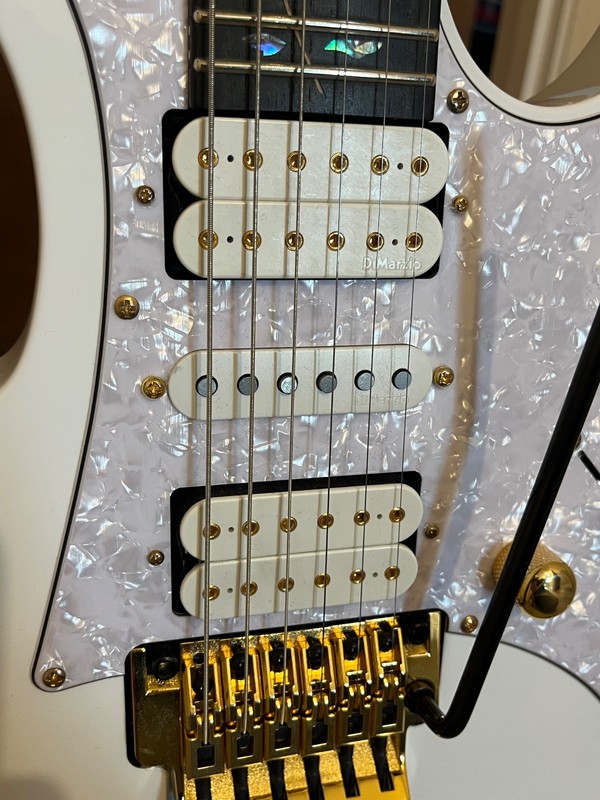 Ibanez Jem Premium Electric Guitar