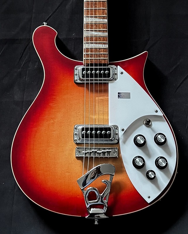 Rickenbacker 620 Fg Used Electric Guitar 2010