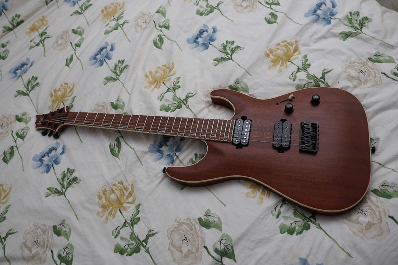ESP LTD H401 Electric guitar Bedford